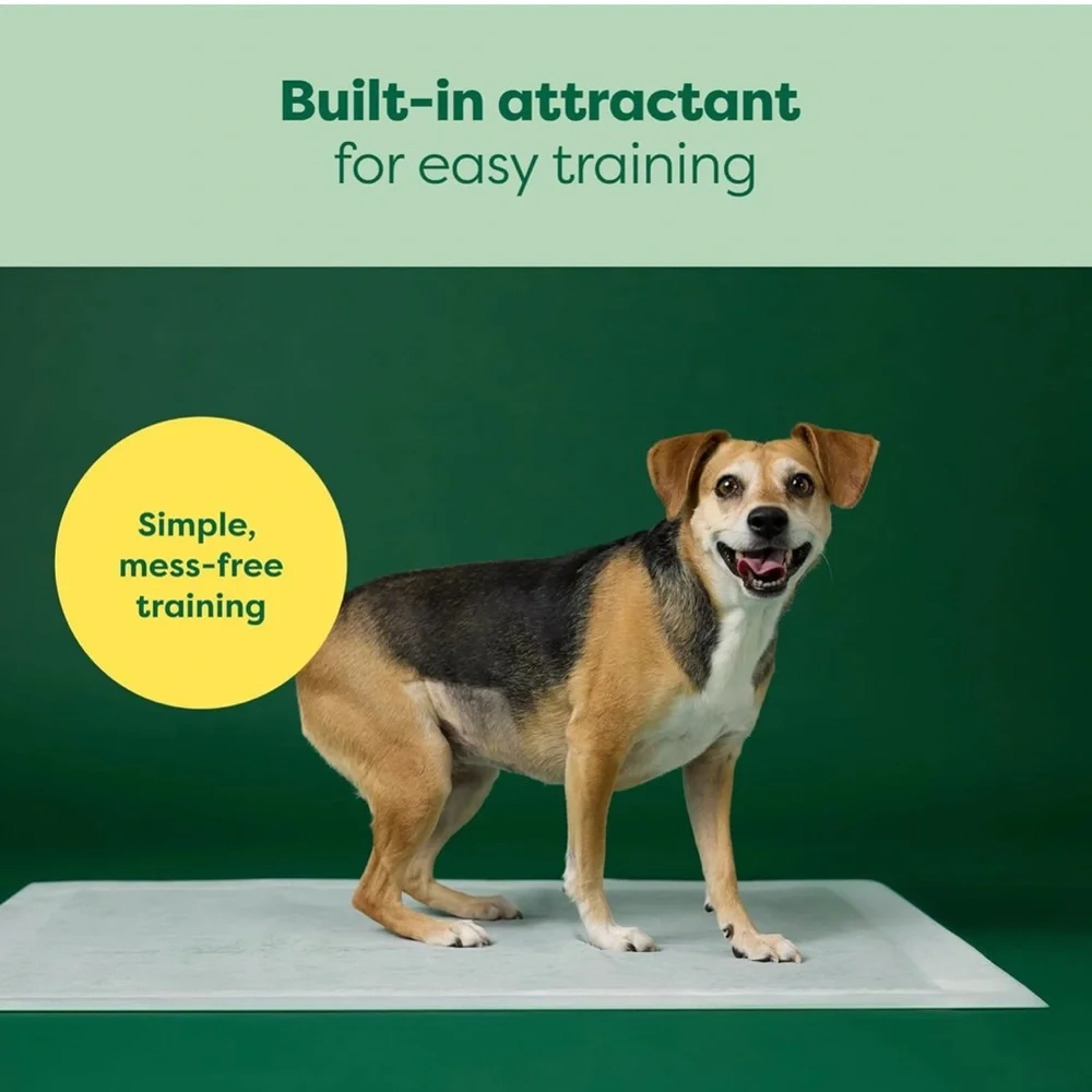 Earth Rated 3-in-1 Max Absorbency Puppy Pee Pads Large, 22 x 23 Inches, 7 Count